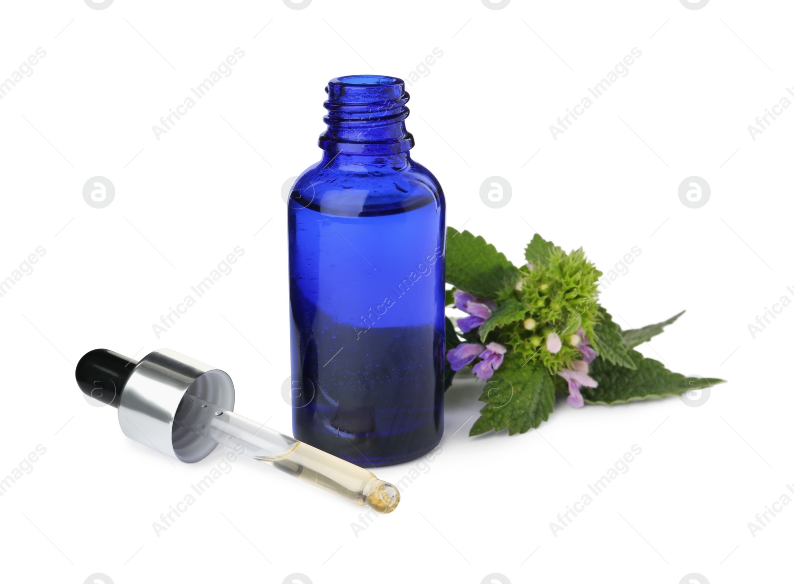 Photo of Glass bottle of nettle oil with dropper and leaves isolated on white