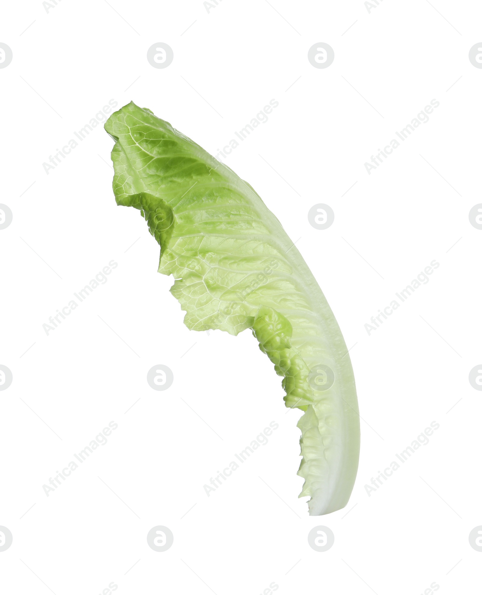 Photo of Fresh leaf of green romaine lettuce isolated on white