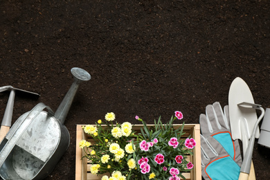 Photo of Flat lay composition with gardening tools and flowers on soil, space for text