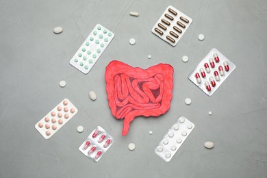 Paper cutout of small intestine and pills on light grey background, flat lay
