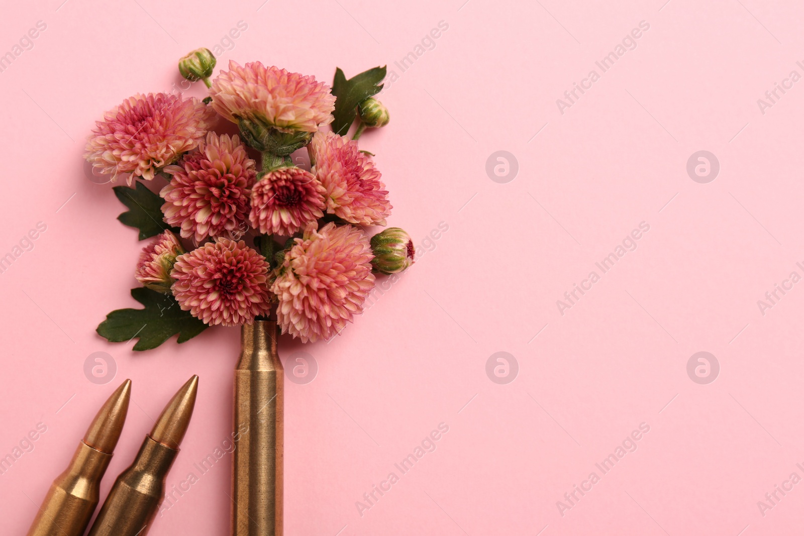 Photo of Bullets and cartridge case with beautiful flower on pink background, flat lay. Space for text