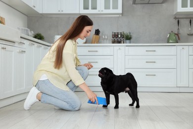 Photo of Beautiful young woman feeding her adorable Pug dog in kitchen