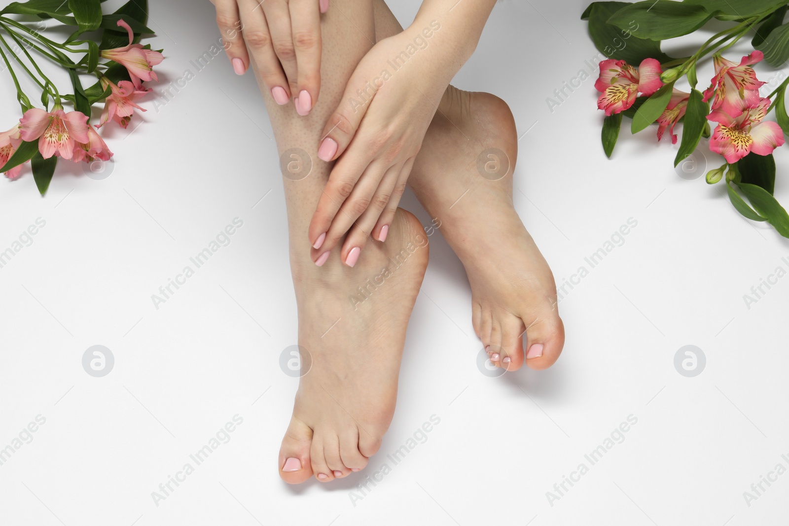 Photo of Closeup of woman with neat toenails after pedicure procedure on light background, top view