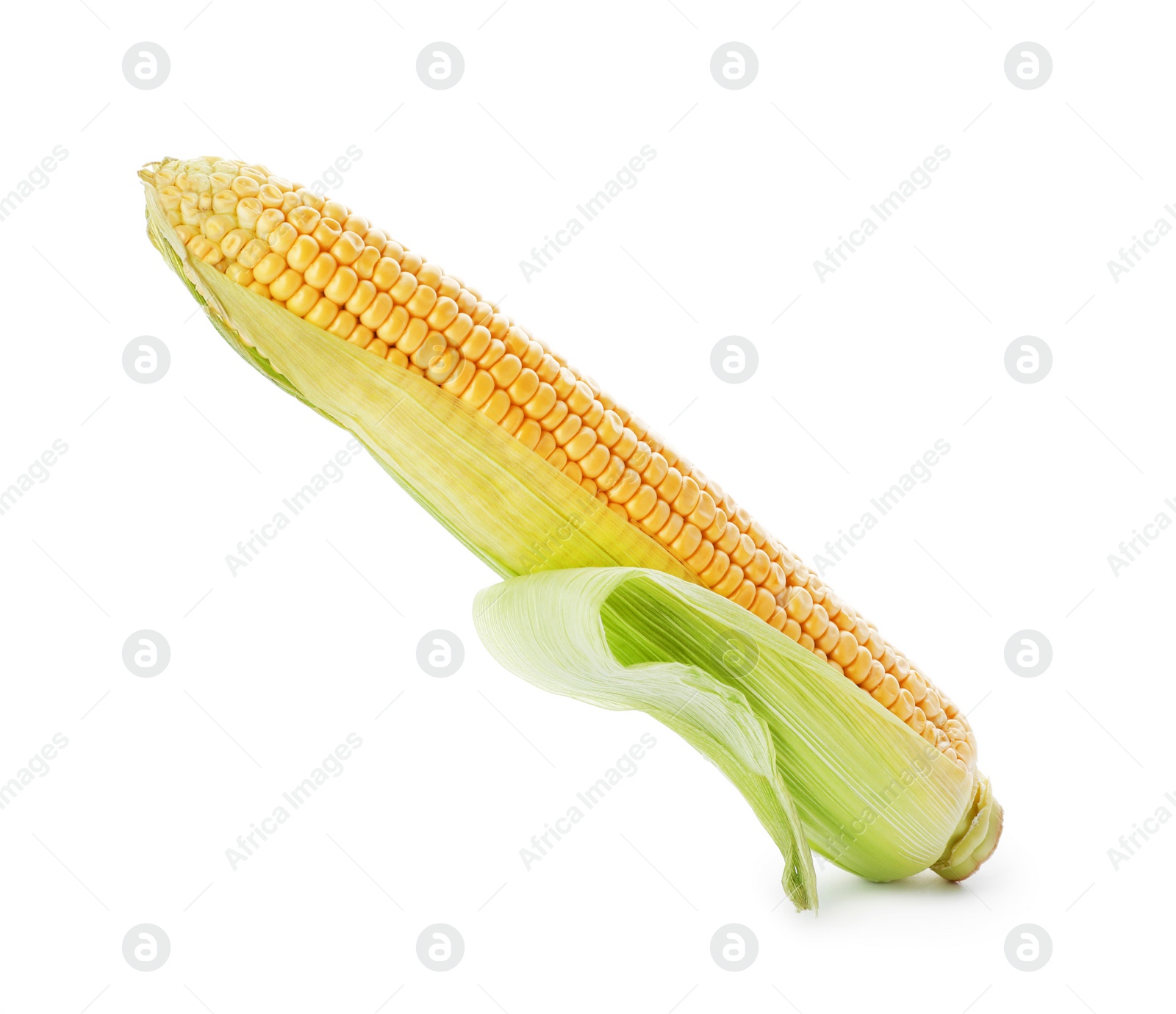 Photo of Tasty sweet corn cob on white background