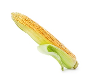 Tasty sweet corn cob on white background