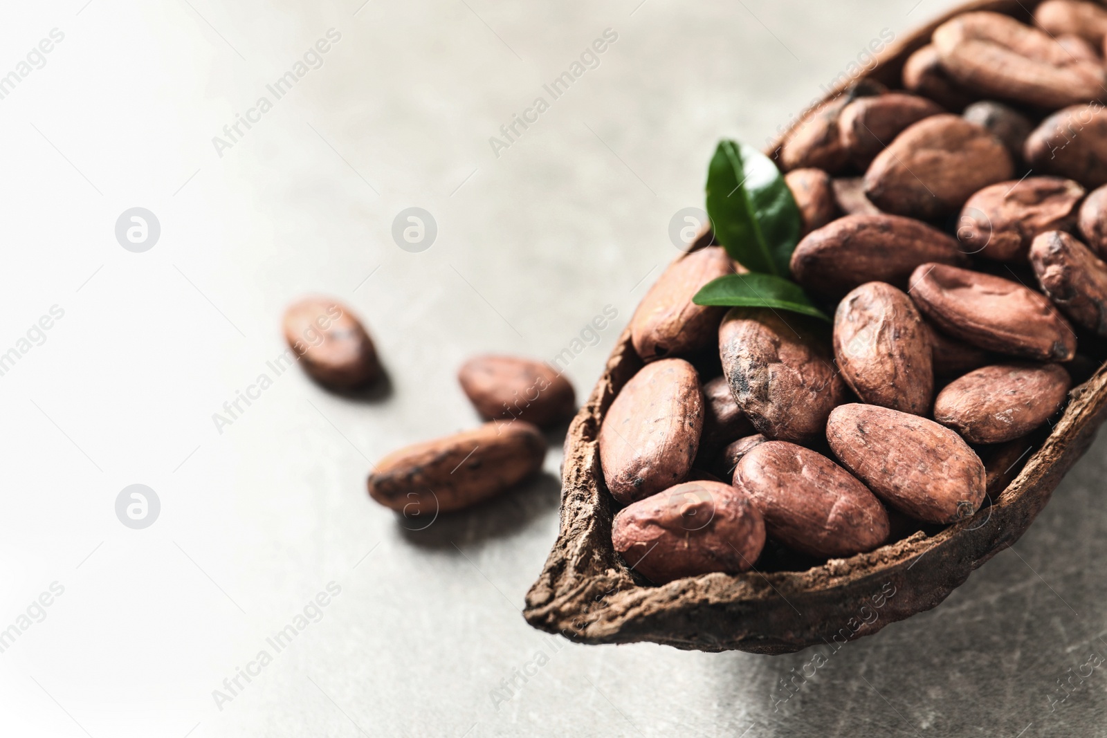 Photo of Half of cocoa pod with beans on light table, closeup. Space for text