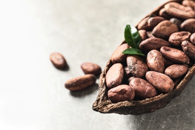 Half of cocoa pod with beans on light table, closeup. Space for text