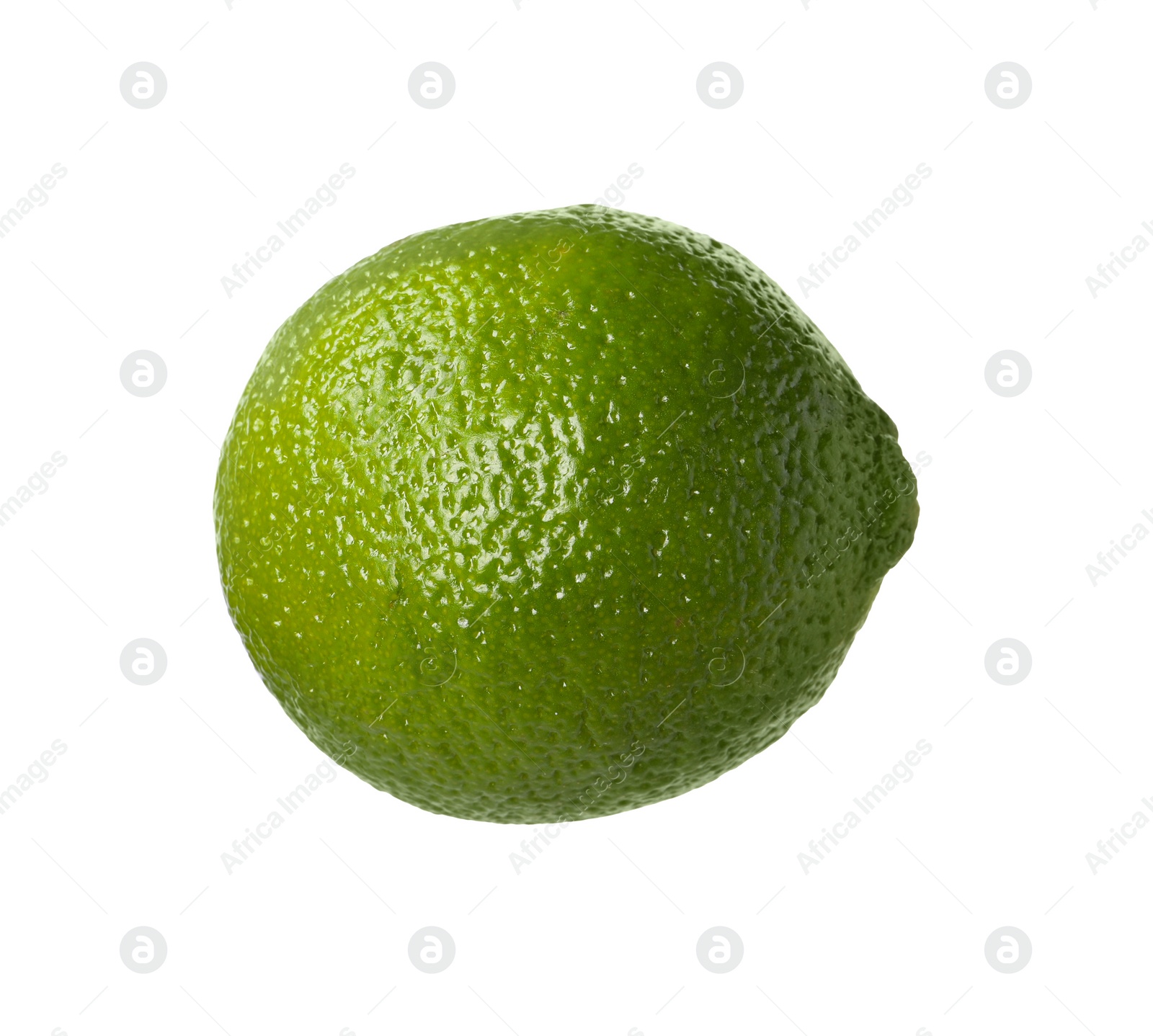 Photo of Citrus fruit. One fresh ripe lime isolated on white