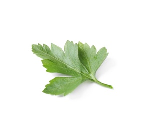 Fresh green organic parsley on white background