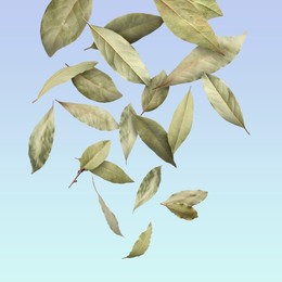 Dry bay leaves falling on light blue gradient background