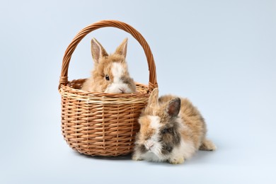 Photo of Cute little rabbits on light background. Adorable pet
