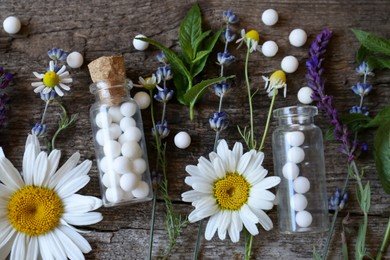 Photo of Bottles of homeopathic remedy and different plants on wooden background, flat lay