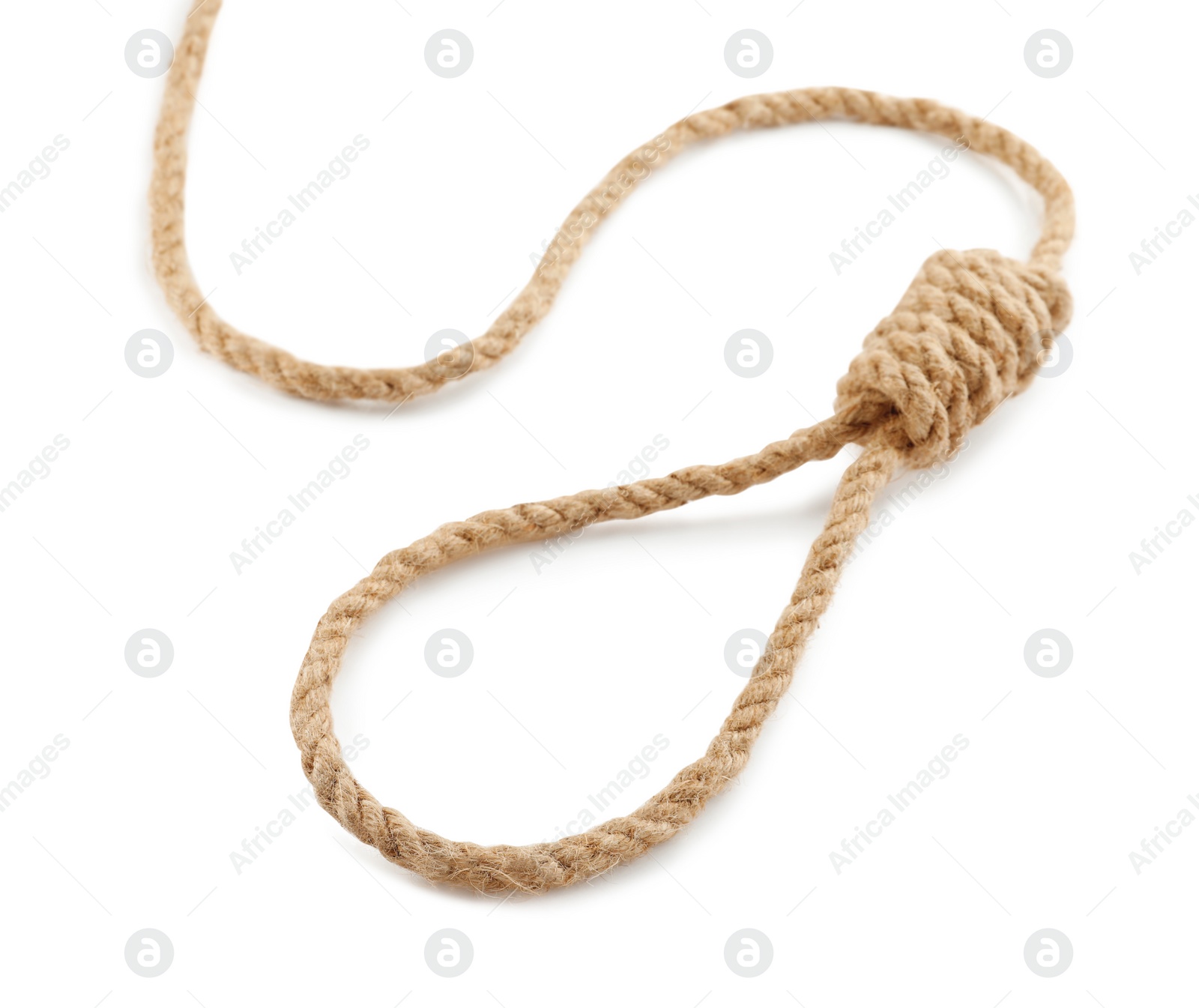 Photo of Rope noose with knot on white background