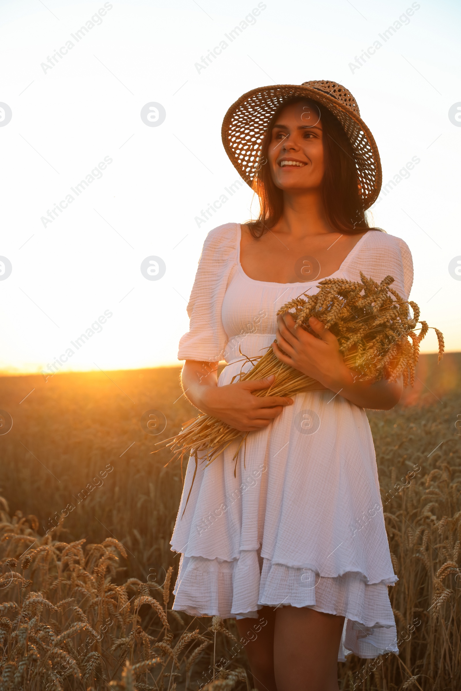 Photo of Beautiful young woman with bunch of wheat ears in field on sunny day