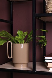 Photo of Stylish ceramic vase with green leaves and books on shelf near brown wall