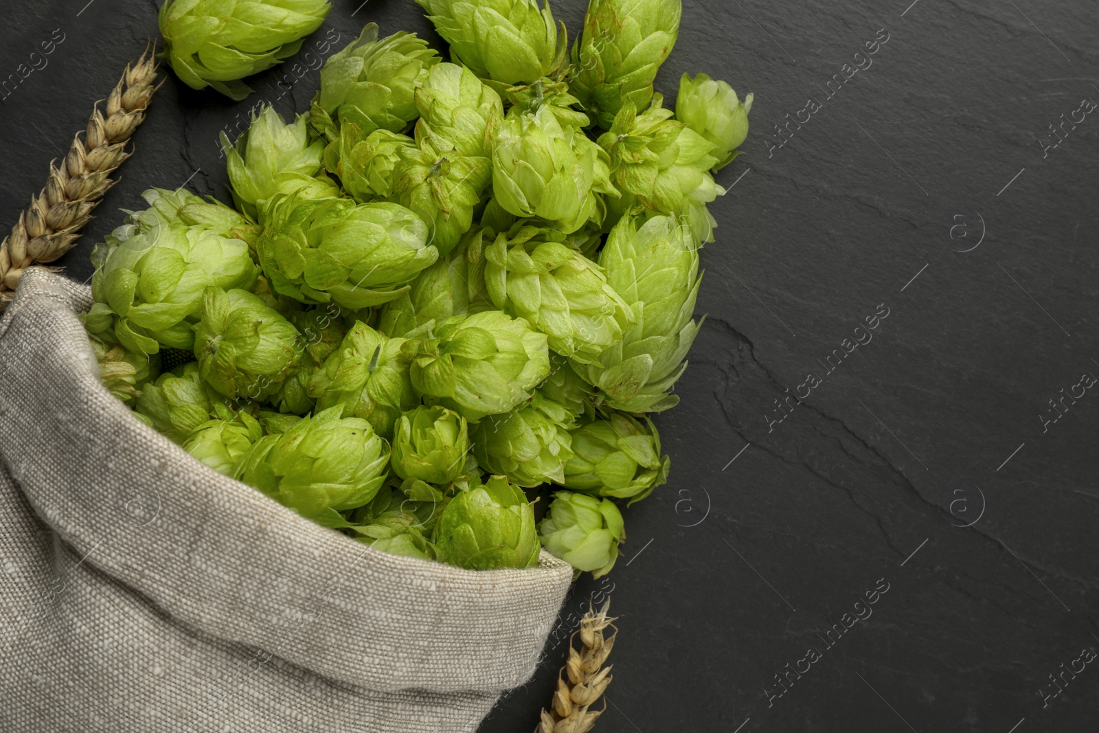 Photo of Sack with fresh green hops and spikes on black table, flat lay