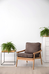 Photo of Beautiful home plants in stylish room interior