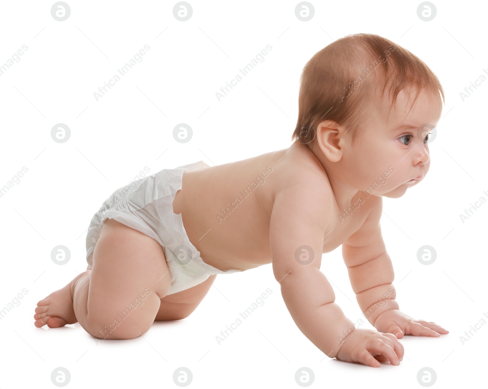 Photo of Cute little baby crawling on white background