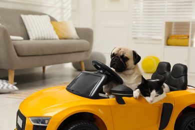 Photo of Adorable pug dog and cat in toy car indoors