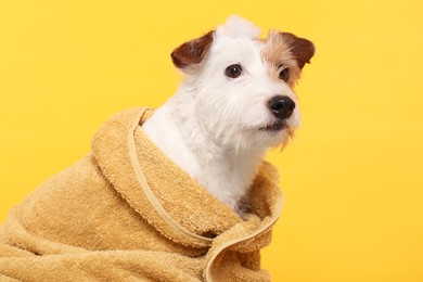 Photo of Portrait of cute dog in towel with shampoo foam on head against yellow background