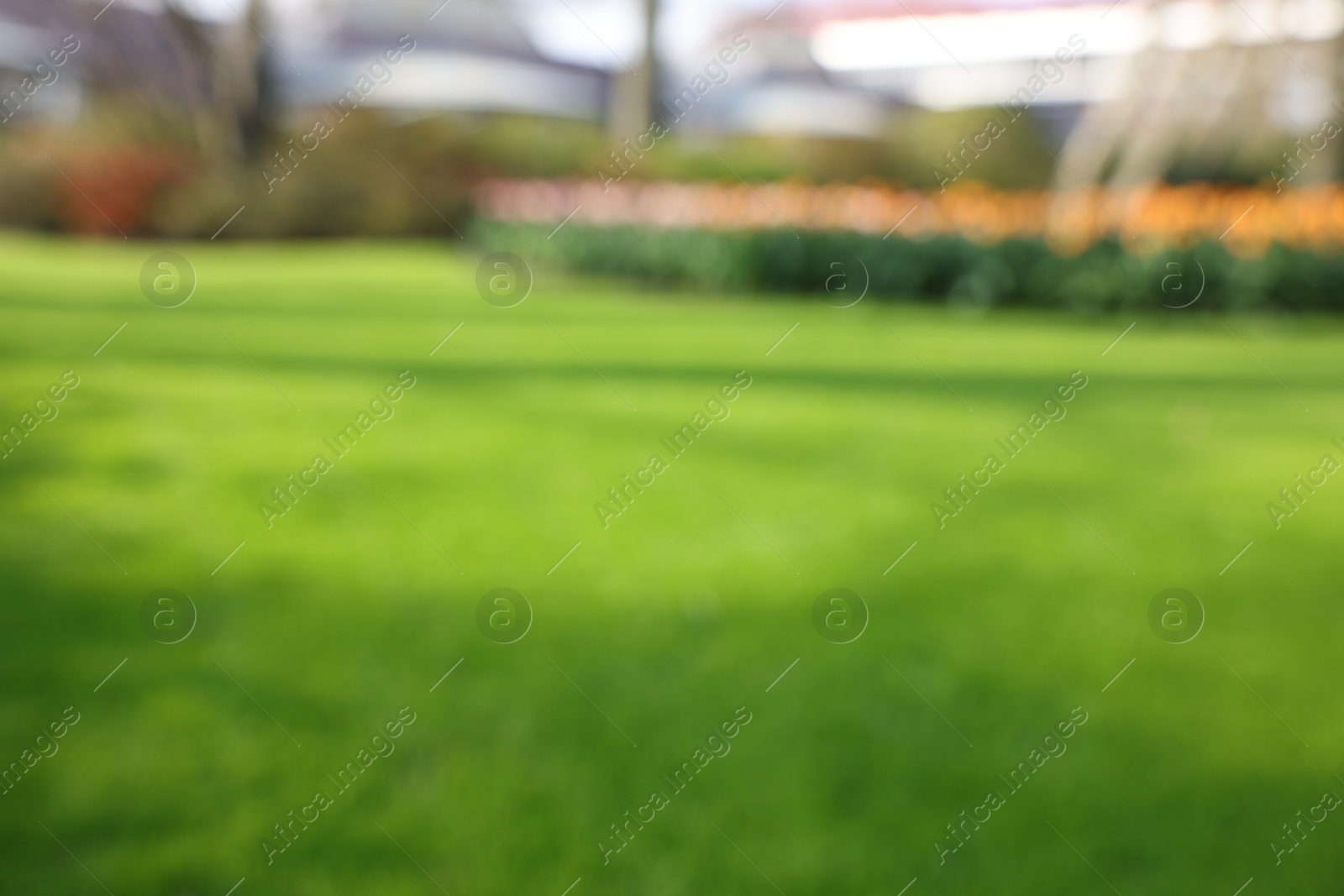 Photo of Blurred view of beautiful park on sunny day