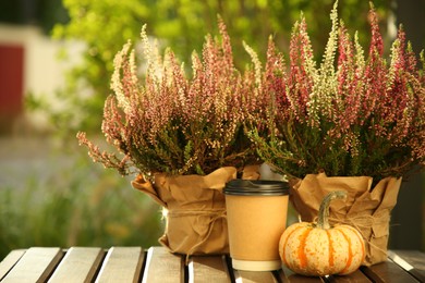 Beautiful heather flowers in pots, paper cup of drink and pumpkin on wooden surface outdoors