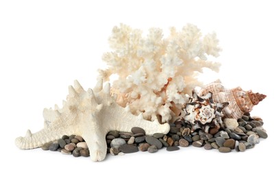 Photo of Beautiful exotic sea coral, shells and pebbles on white background