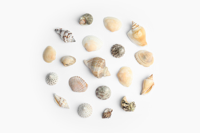 Photo of Different beautiful sea shells on white background, top view