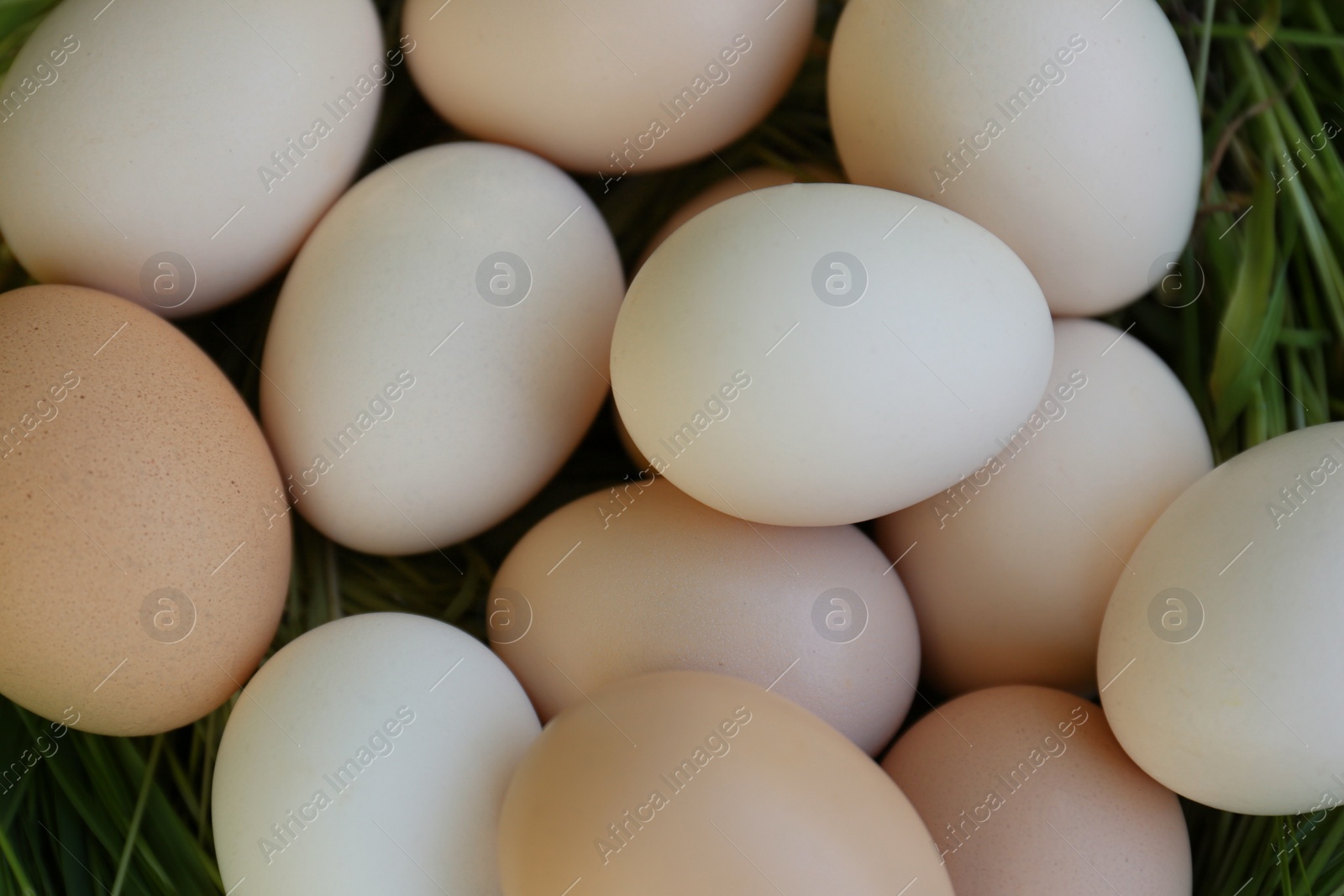 Photo of Fresh raw eggs on green grass, top view