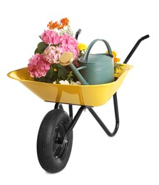 Photo of Yellow wheelbarrow with different flowers and gardening tools isolated on white