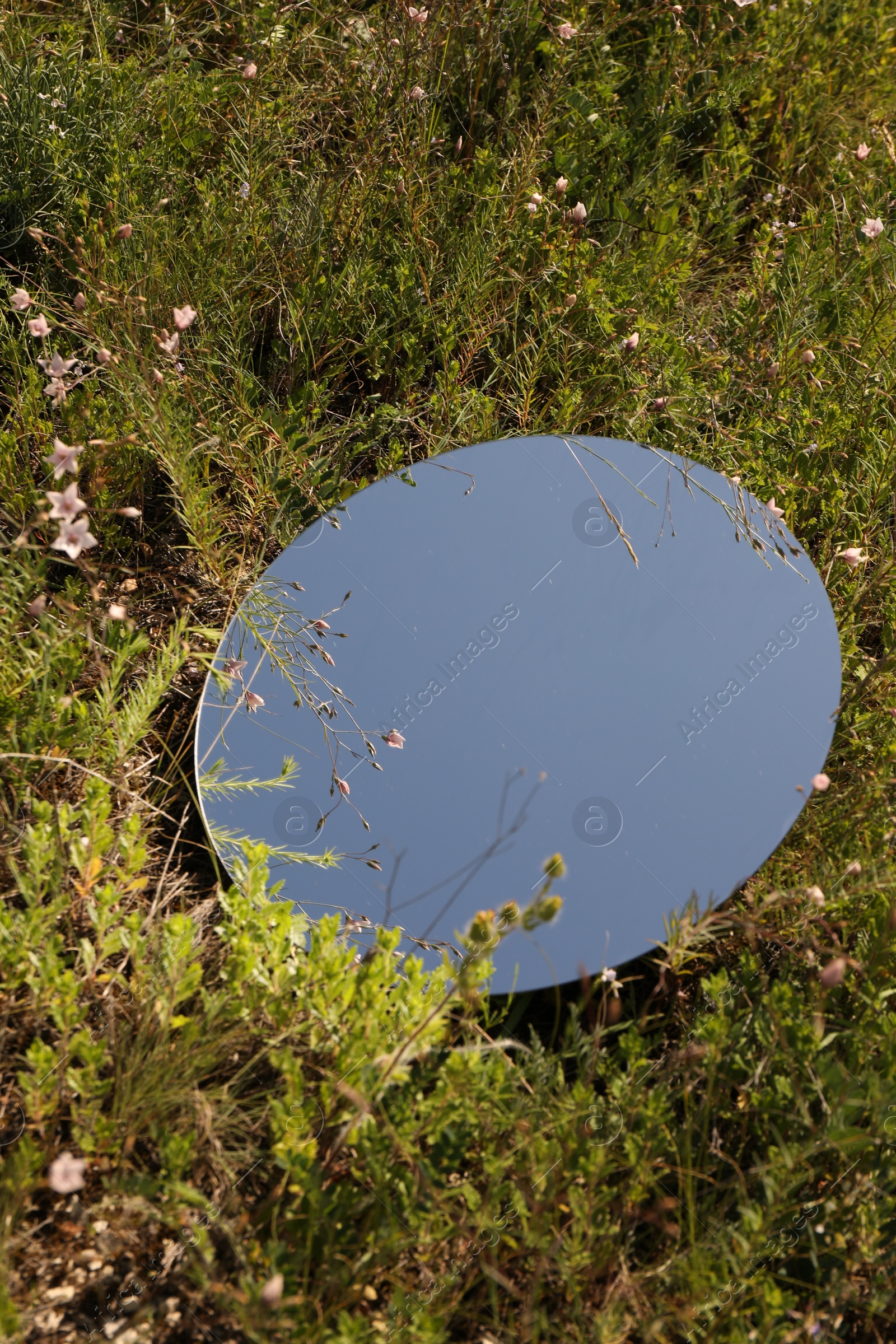 Photo of Spring atmosphere. Round mirror among grass and flowers on sunny day