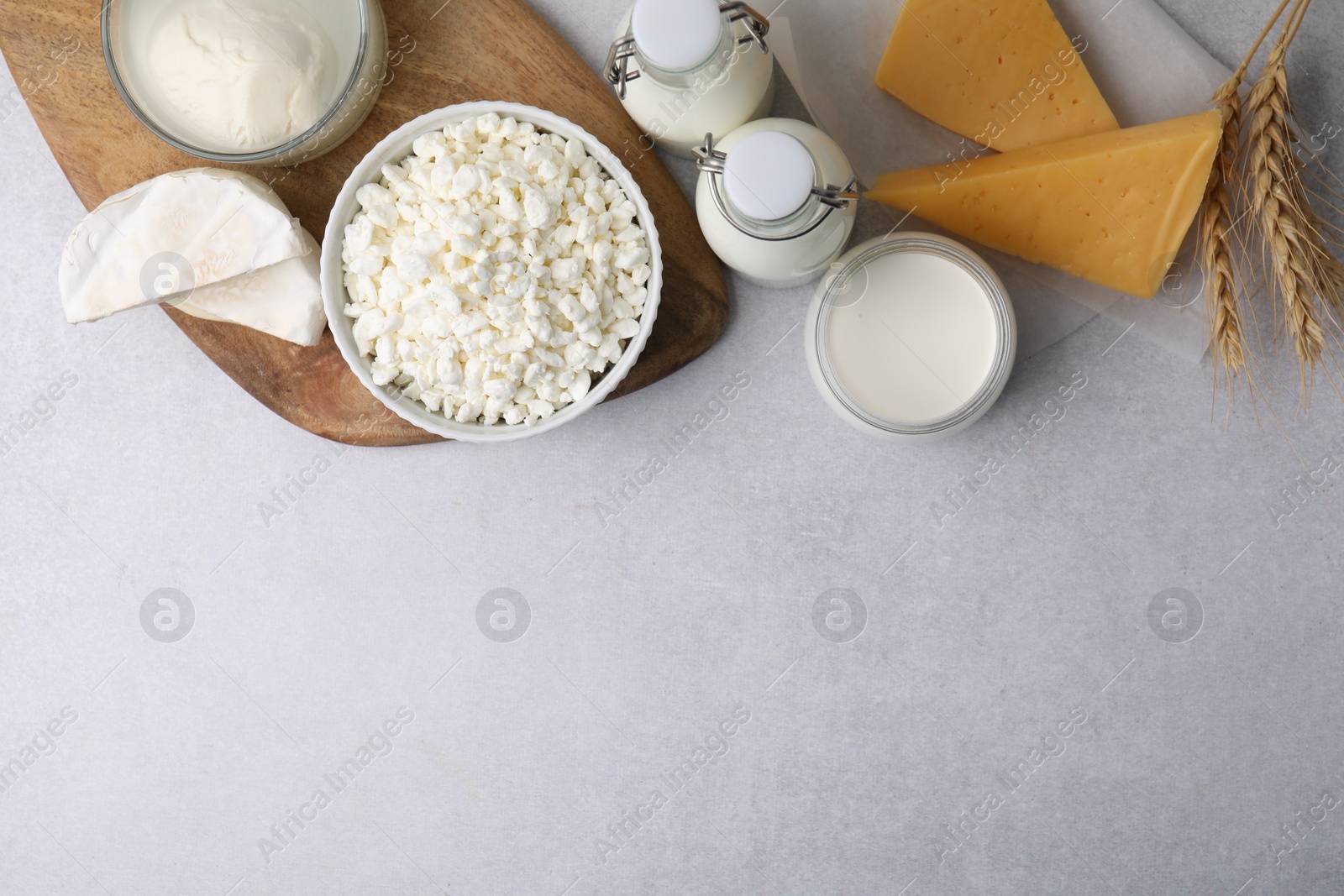 Photo of Different fresh dairy products and wheat ears on light table, flat lay. Space for text