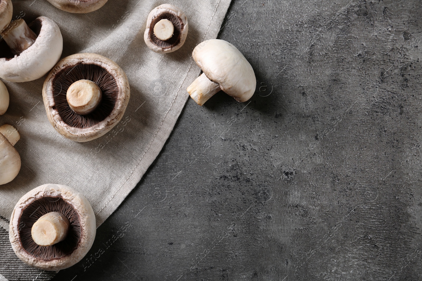 Photo of Fresh champignon mushrooms and napkin on grey background, top view with space for text