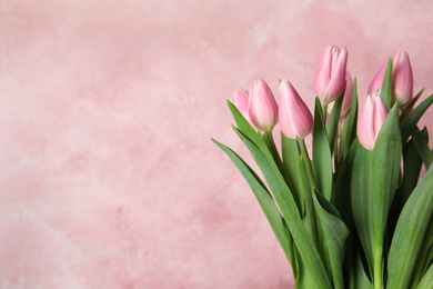 Photo of Bouquet of beautiful spring tulips on light pink background. Space for text