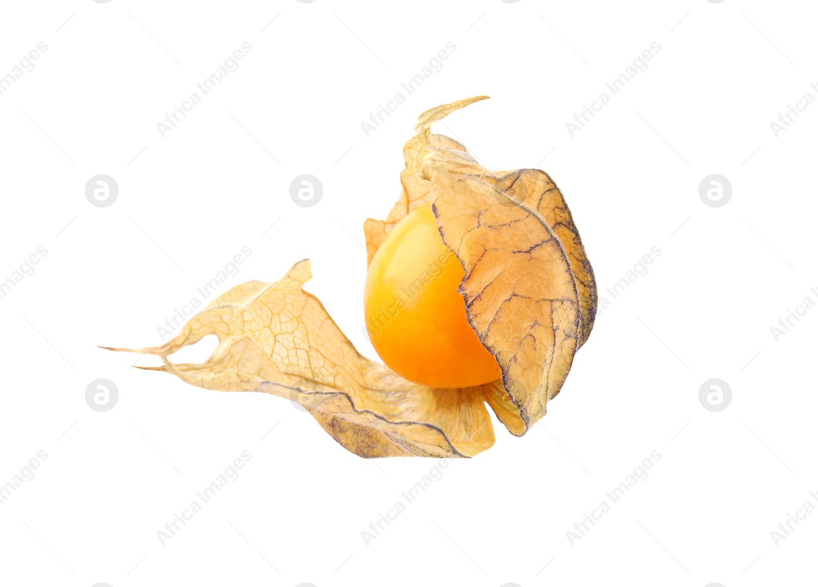 Photo of Ripe physalis fruit with calyx isolated on white