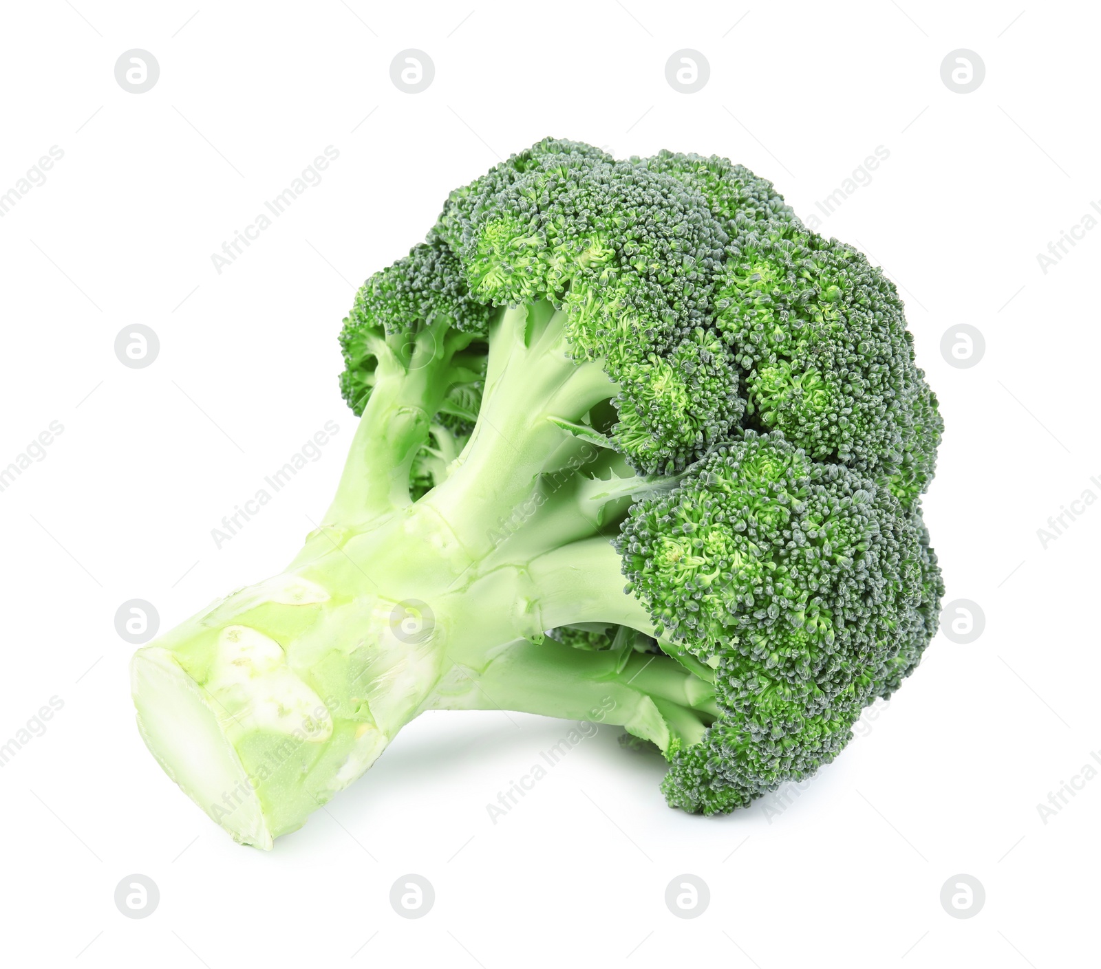 Photo of Fresh green broccoli on white background. Organic food