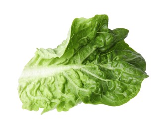 Fresh leaf of green romaine lettuce isolated on white