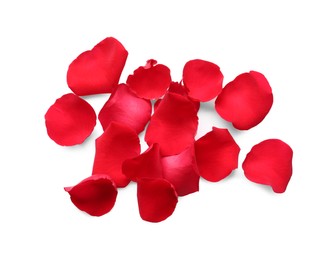 Many red rose petals on white background, top view