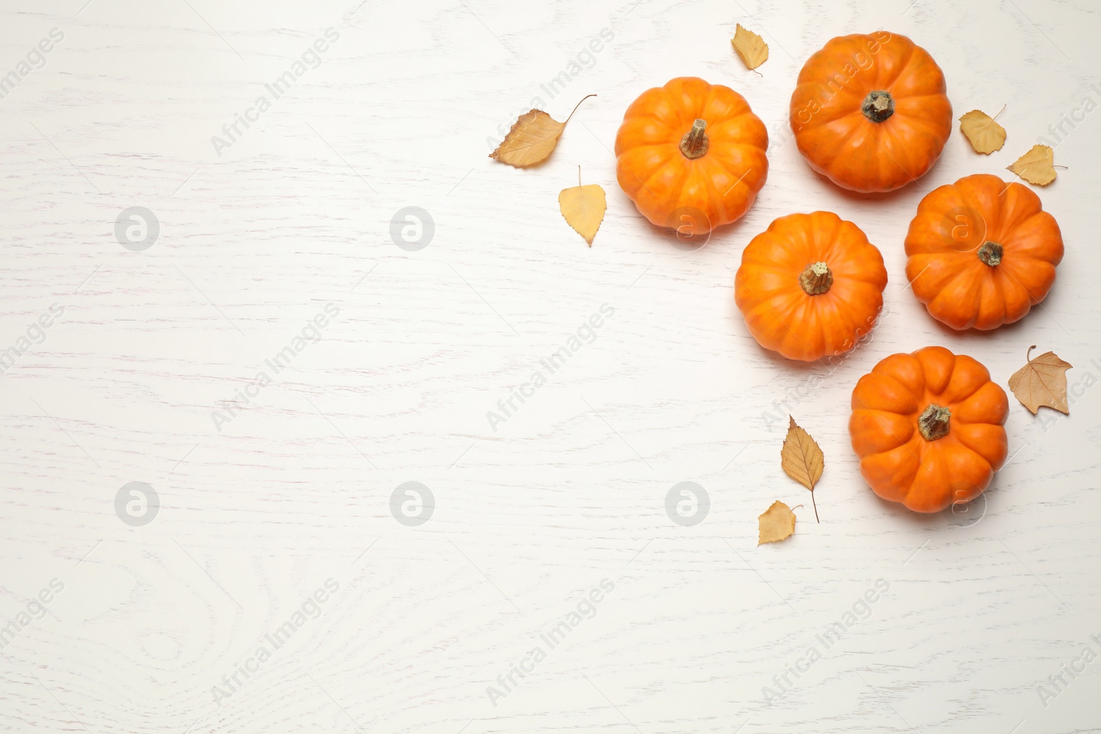 Photo of Fresh ripe pumpkins and autumn leaves on white wooden table, flat lay. Space for text