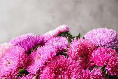 Photo of Beautiful aster flowers on beige background, closeup