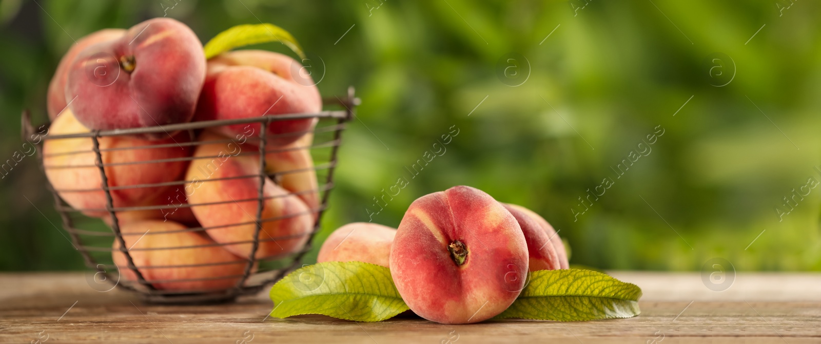 Image of Fresh flat peaches on table. Banner design with space for text