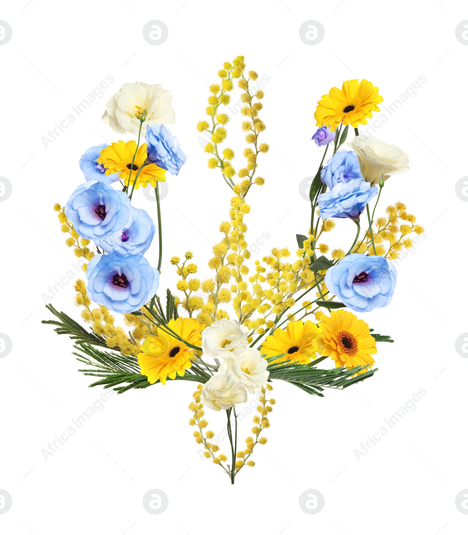Image of Coat of arms of Ukraine made with beautiful flowers on white background