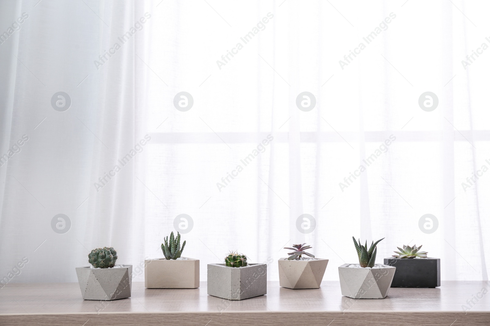 Photo of Different plants in pots on window sill, space for text. Home decor