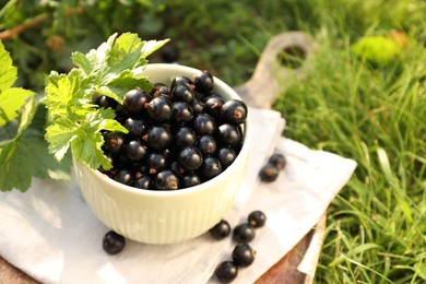 Ripe blackcurrants in bowl and leaves on green grass. Space for text