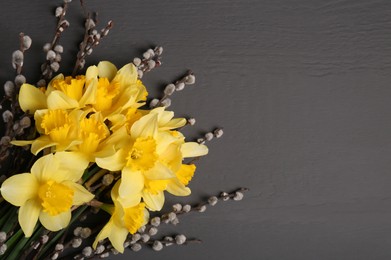 Bouquet of beautiful yellow daffodils and willow twigs on grey wooden table, top view. Space for text