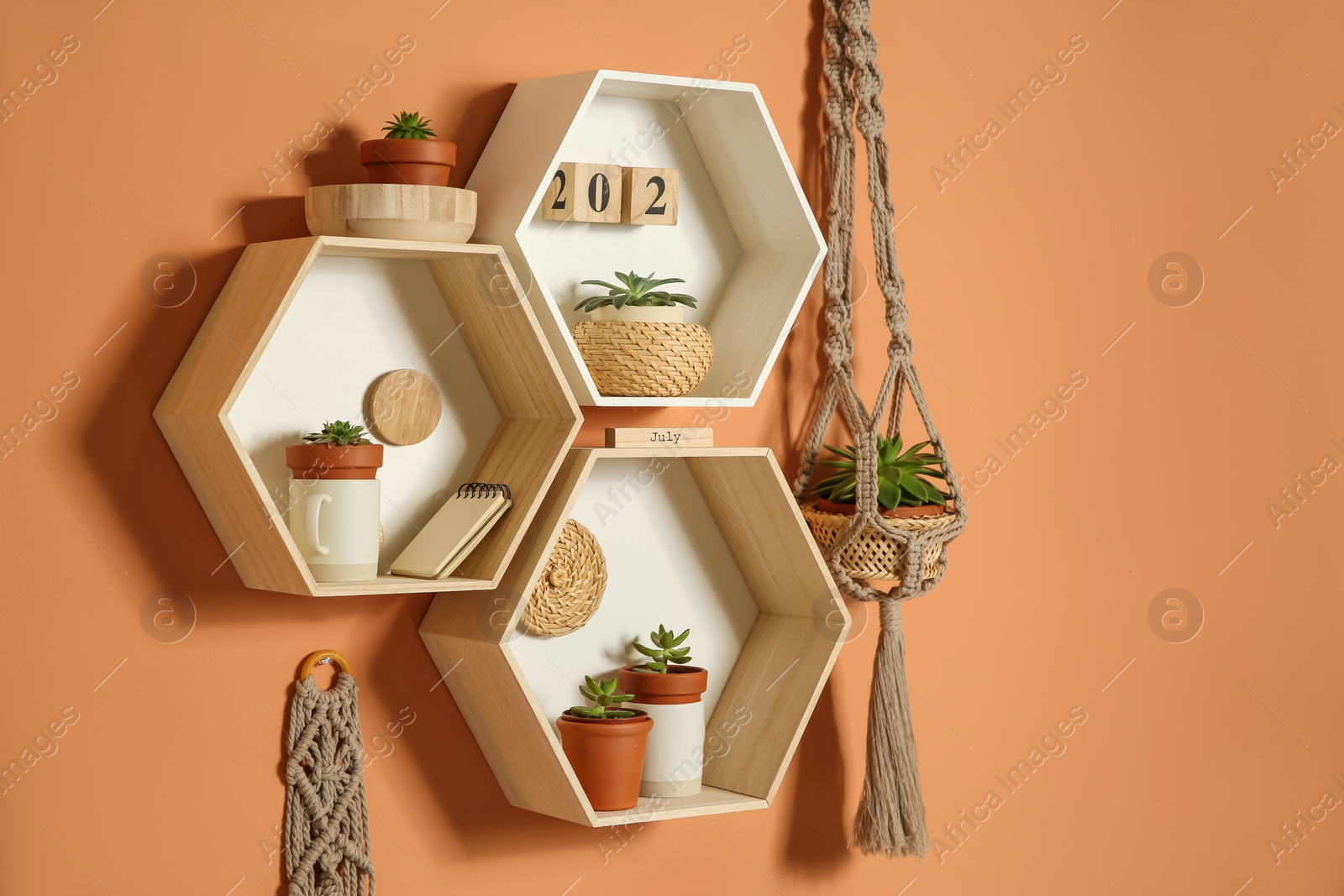 Photo of Shelves with decorative elements on color wall. Space for text