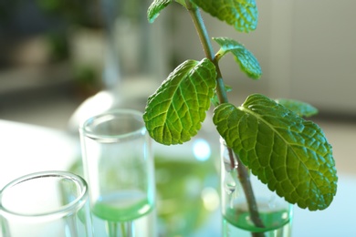 Photo of Green plant in test tube on blurred background, closeup with space for text. Biological chemistry
