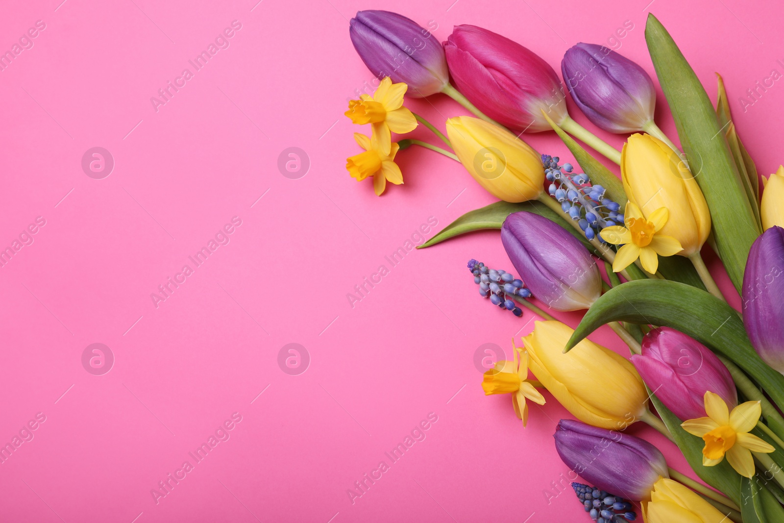 Photo of Beautiful different flowers on pink background, flat lay. Space for text