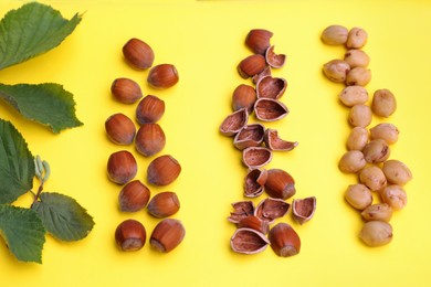 Flat lay composition with tasty organic hazelnuts and leaves on yellow background