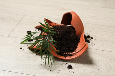 Photo of Broken terracotta flower pot with soil and plant on wooden floor